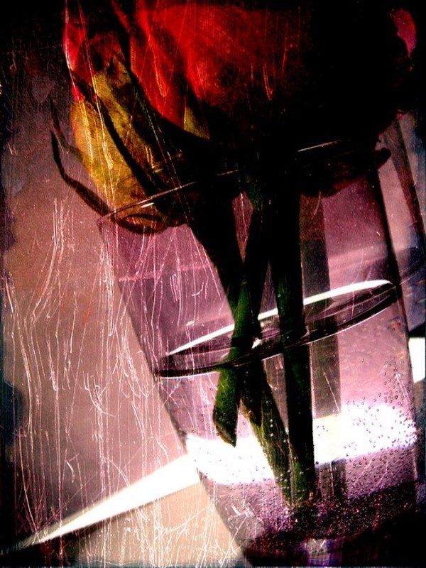 Love me - Love me notphoto preview