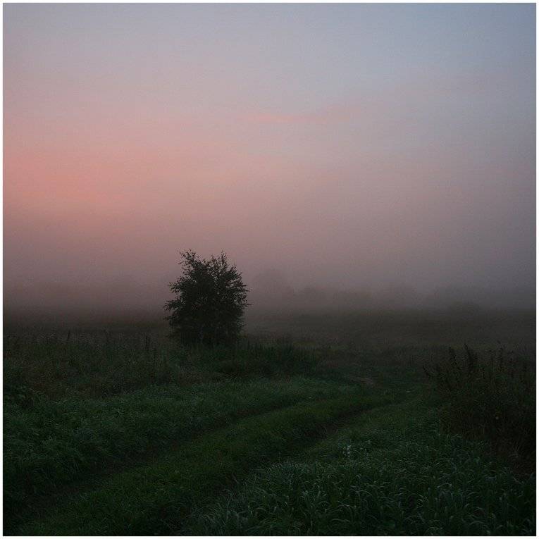 ***. Автор: Сергей Прокошин , Сергей Прокошин