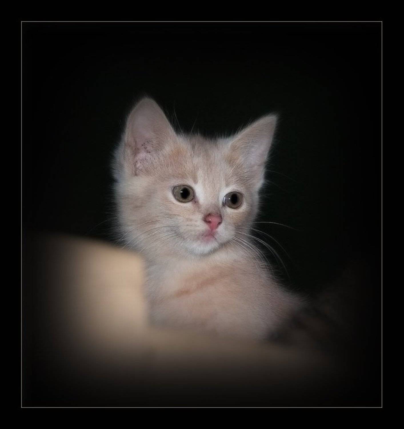 Малец. Автор: Павел М. Цветков , Павел М. Цветков