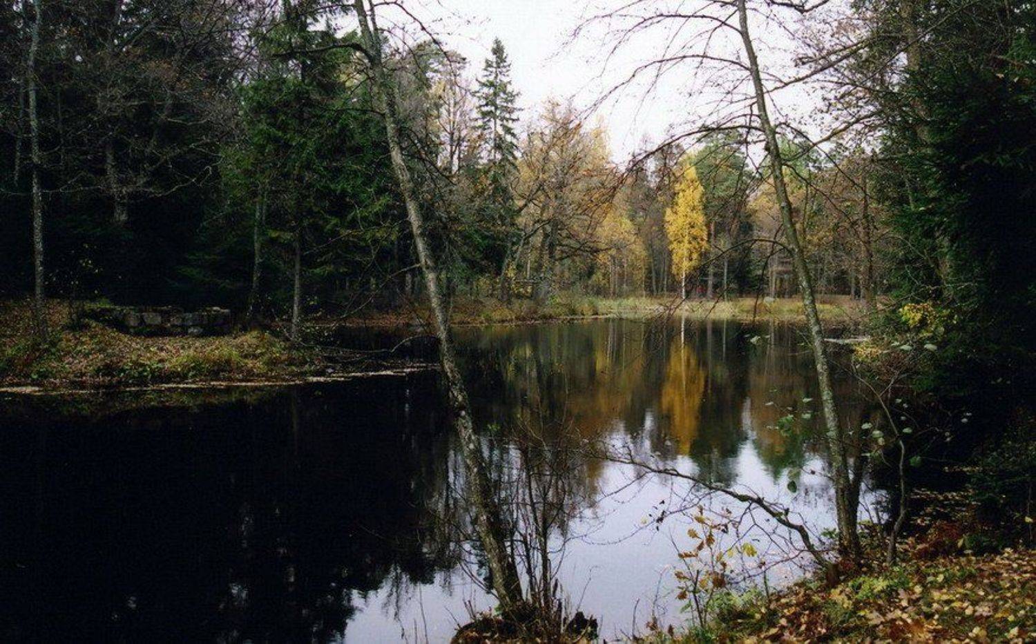 Очей очарованье.... Автор: Андрей Демянчук , Андрей Демянчук