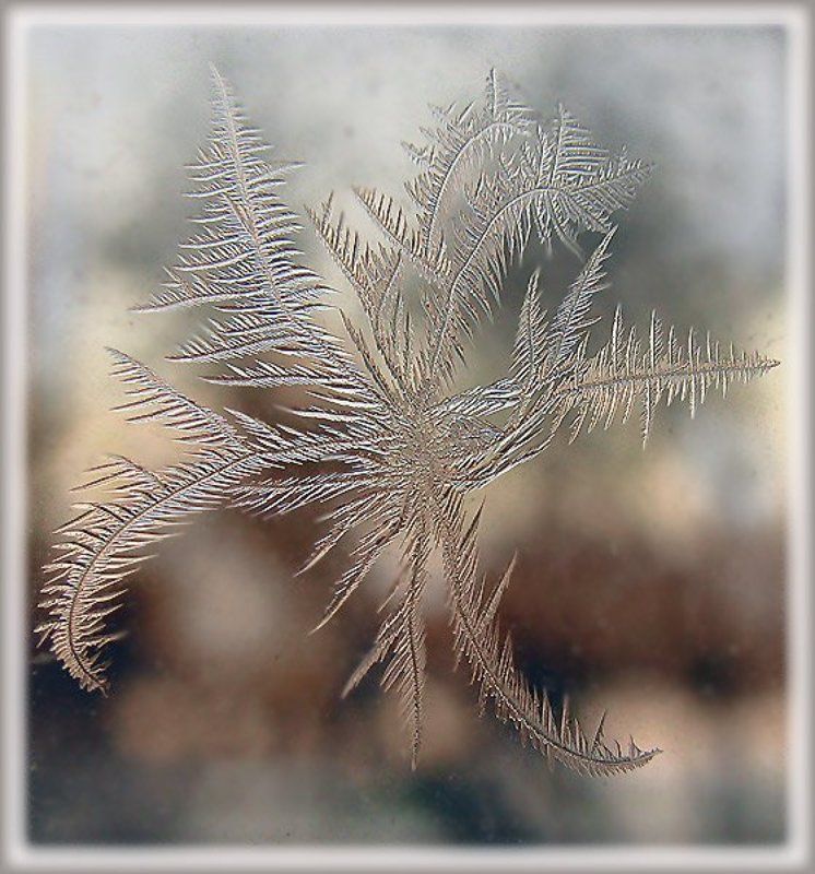 окно, лёд, февральский узорчикphoto preview