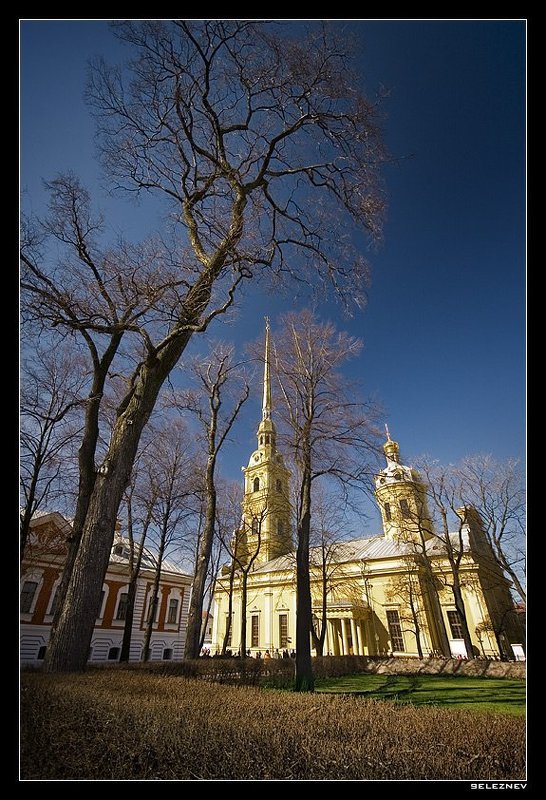 санкт-петербург, seleznev гигантская растительность заячьего островаphoto preview