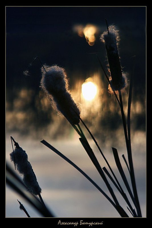 Утренний моционphoto preview