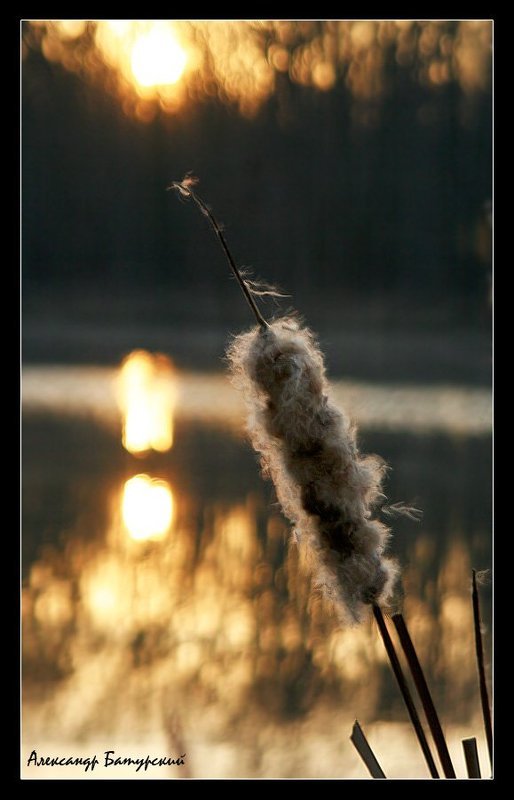 Разговор с солнцемphoto preview