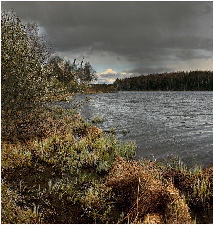 апрель.... Автор: Сергей Прокошин , Сергей Прокошин