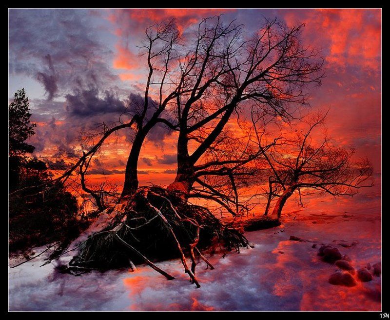 волга Буйство красокphoto preview