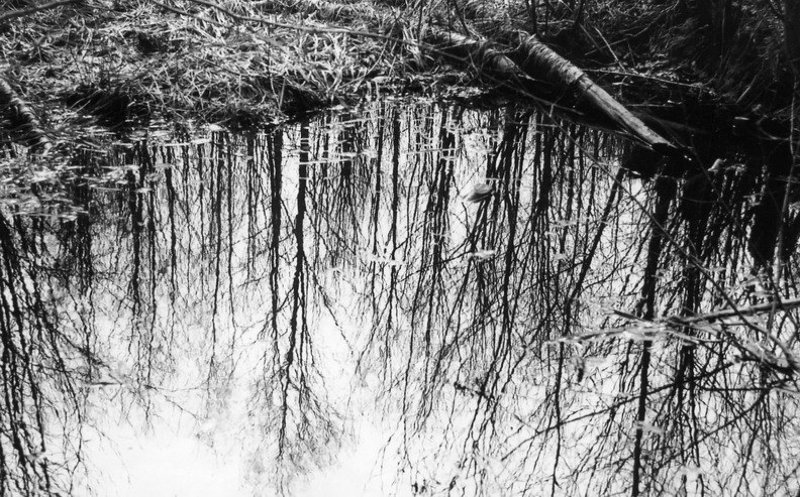 Зеркалоphoto preview