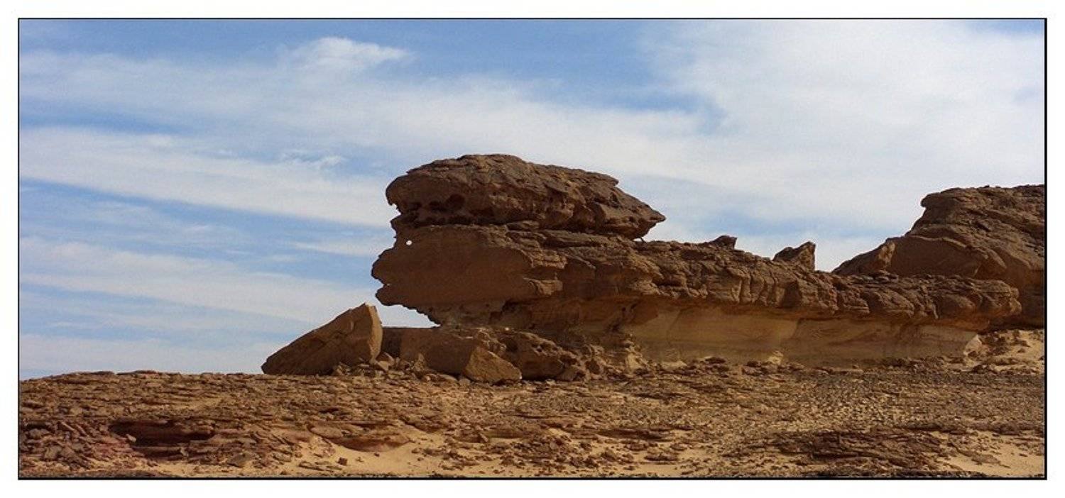 Сфинкс некаирский. Автор: Лунный Ежик , Лунный Ежик