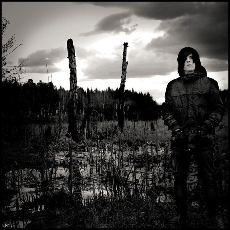 криком птицы.photo preview