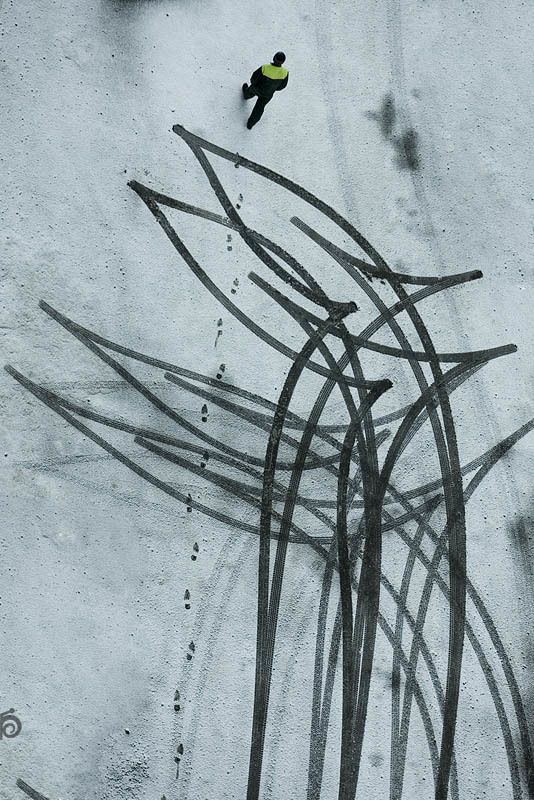 Линииphoto preview