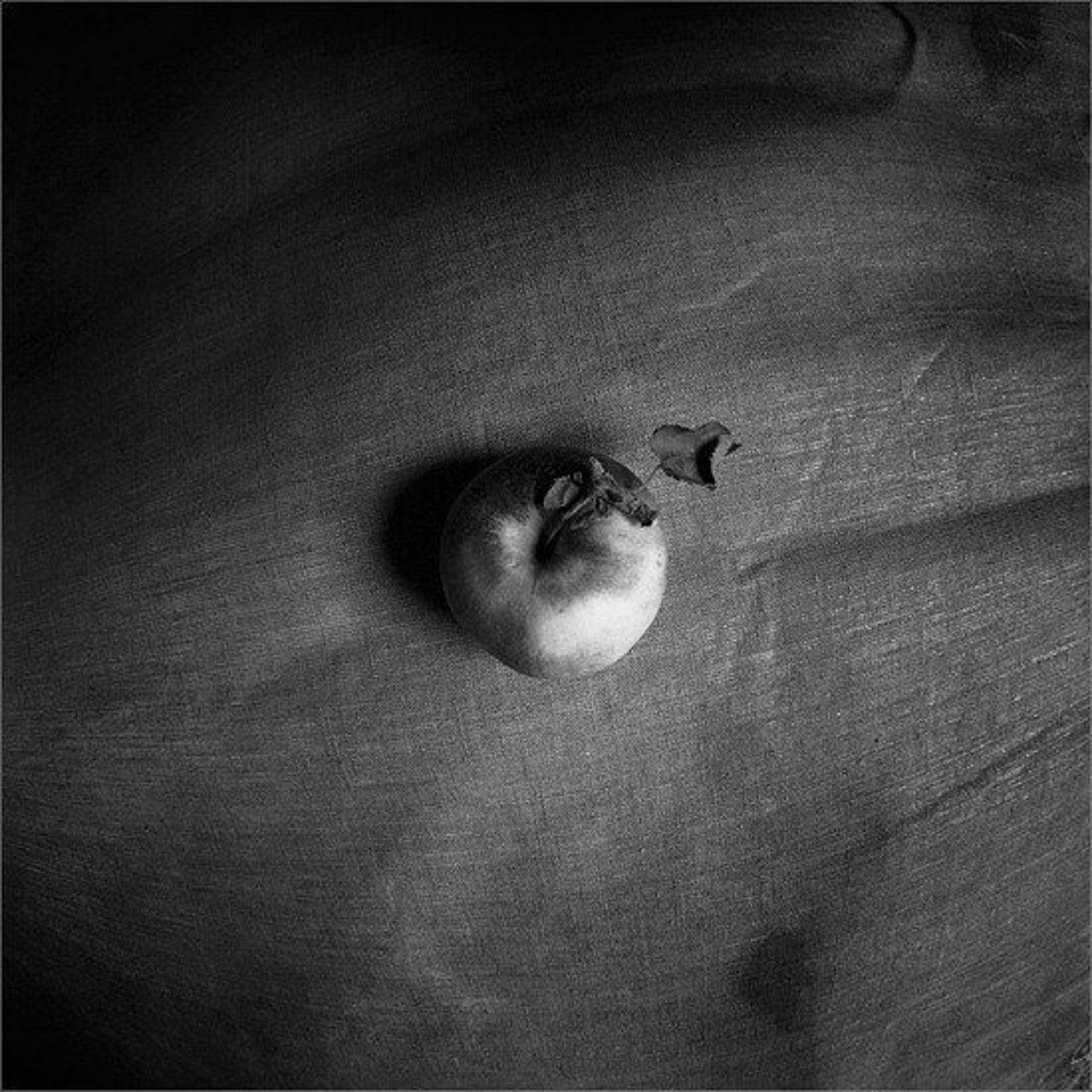 пеленг 8мм, fammy, Алексей и Оксана Самсоновы