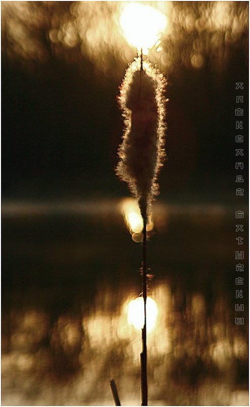 Пронзить солнцеphoto preview