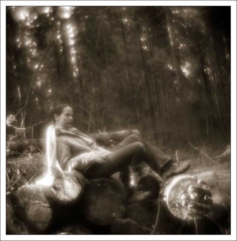 лес, катю, бревна, монокль А мне так комфортноphoto preview