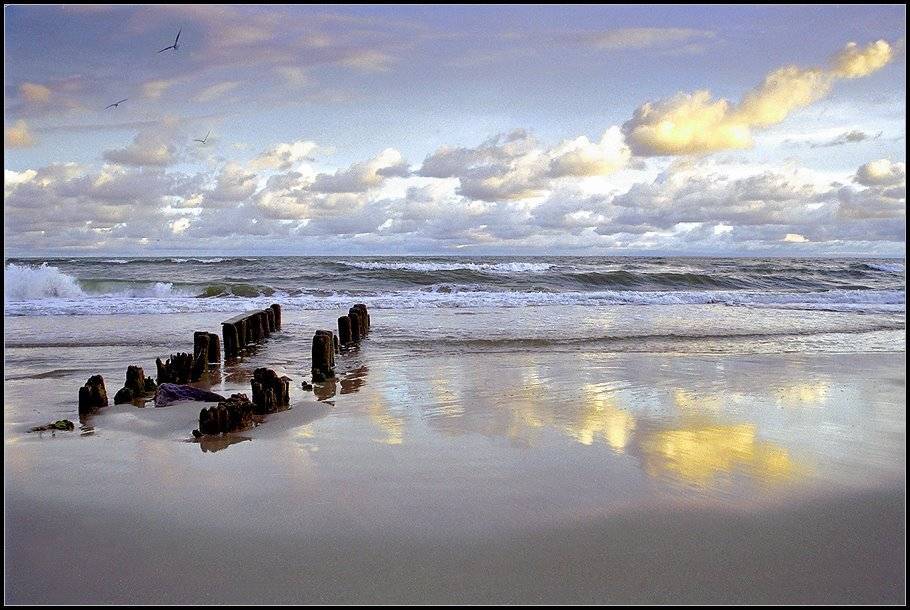 море, балтика, рассвет, волны, прибой, Григорий Иващенко