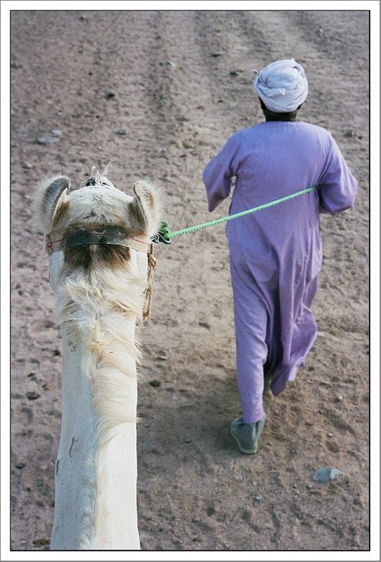 трансфер в  пустынеphoto preview