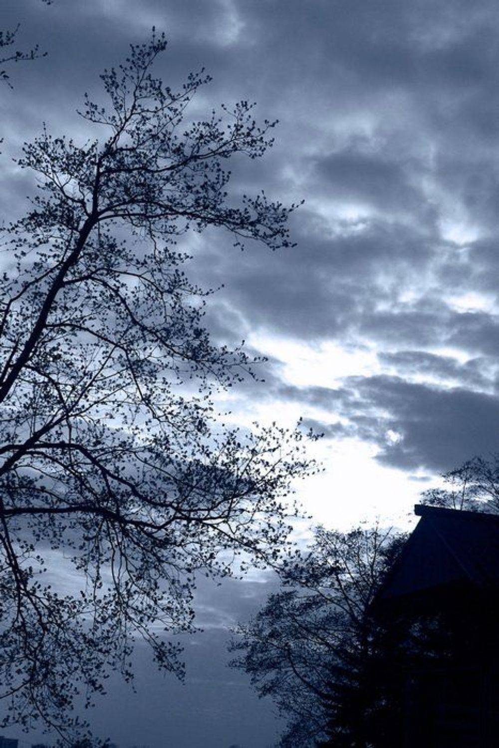 * * *. Автор: SirMax коломенское, SirMax