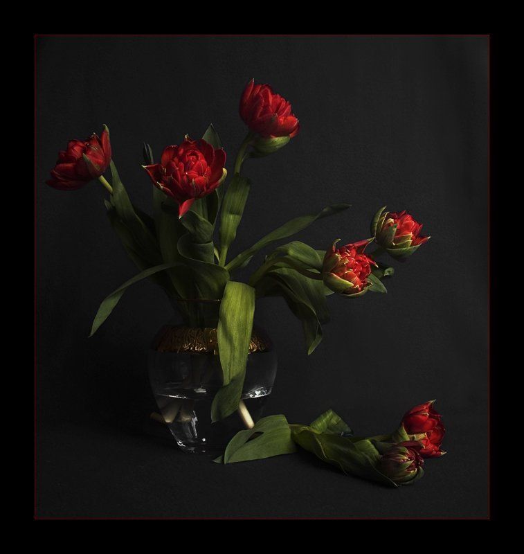 В стране огненных тюльпановphoto preview