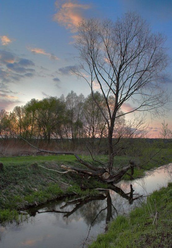 Сеньково - Руново. Вечер.photo preview