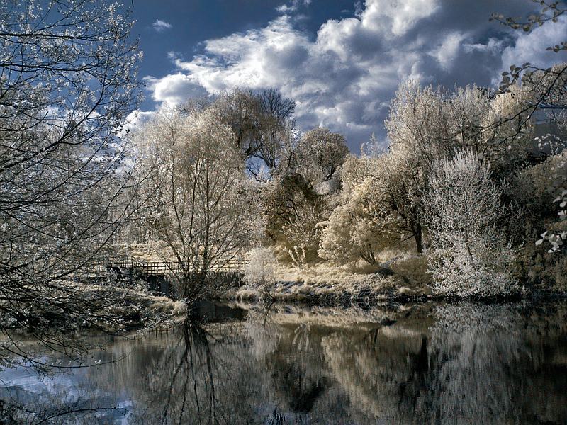 пейзаж, ик апрельское, инфракрасное... фото превью