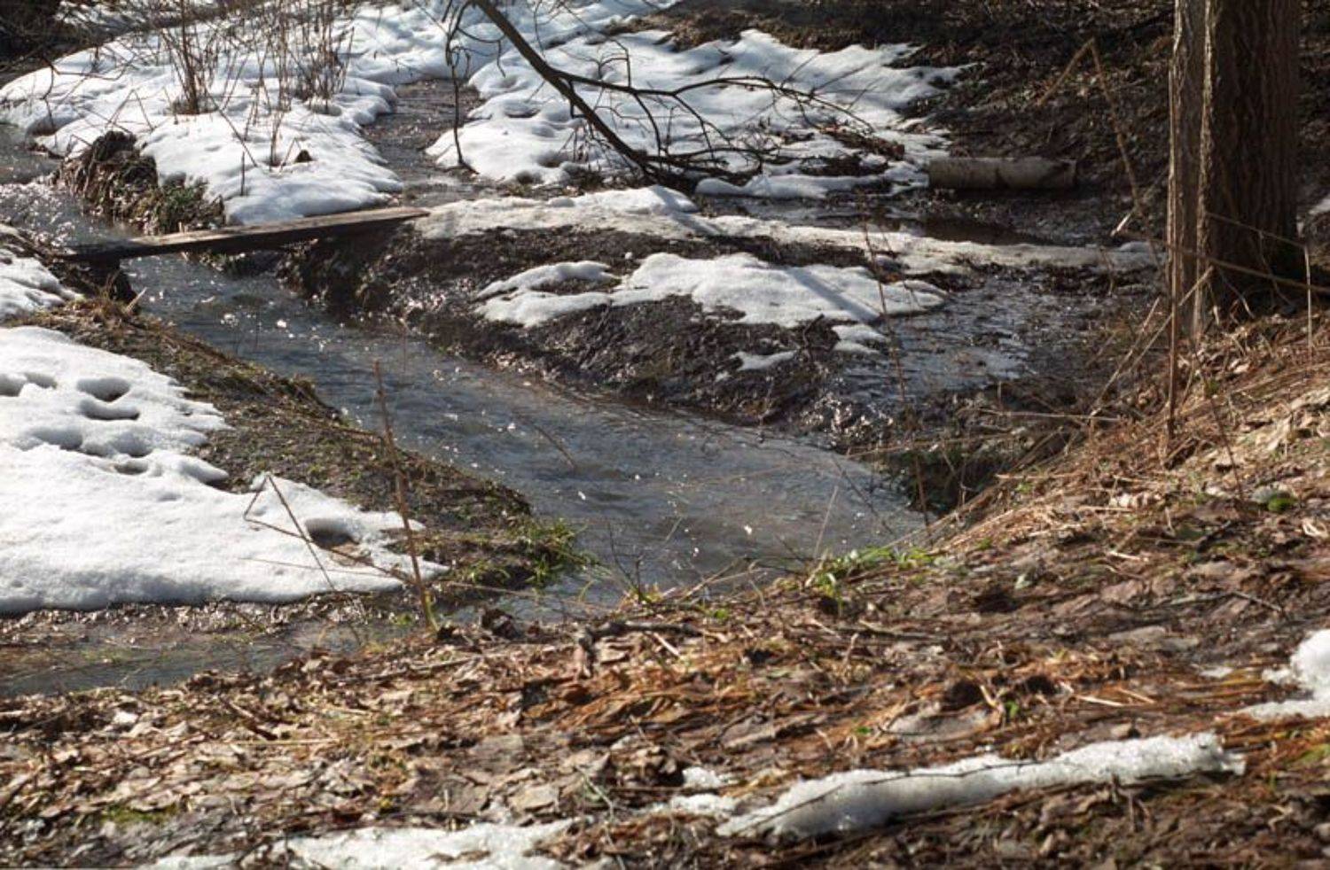 Линии весны. Автор: Gret линии, ручей, природа, Gret