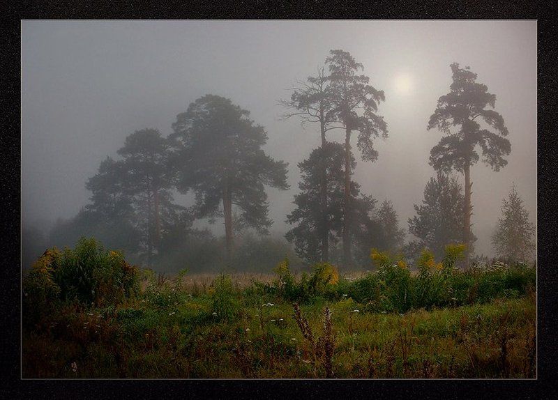 туман,рассвет. Рассвет - первое впечатленье..photo preview