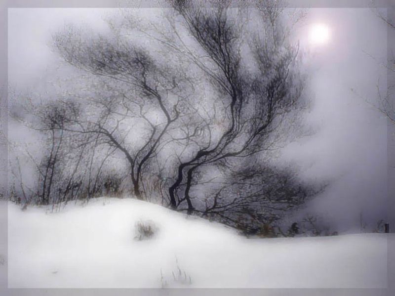 Зимние силуэты фото превью