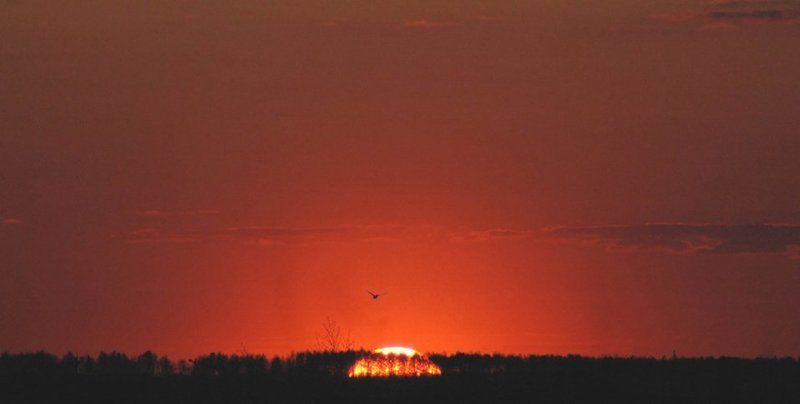 закат, май, курск Солнце скрылось...photo preview