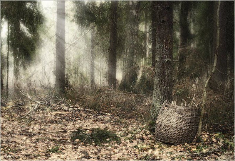 Забытый кузовок фото превью