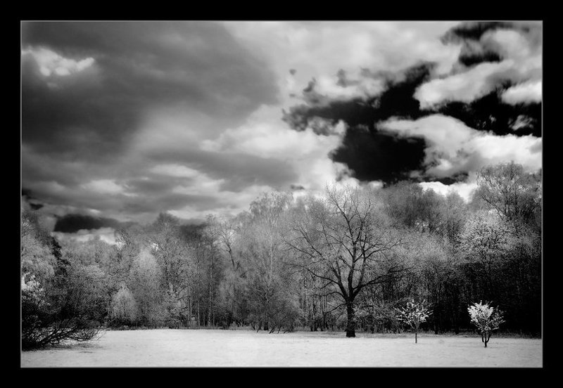 ик, infra red, инфракрасная съемка  фото превью