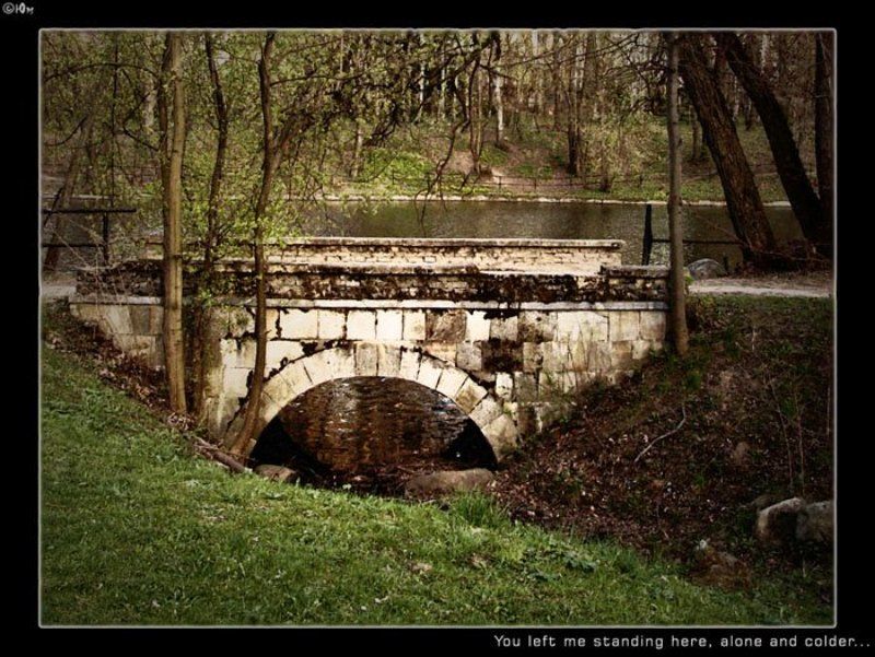 москва, парк, мост you left mephoto preview