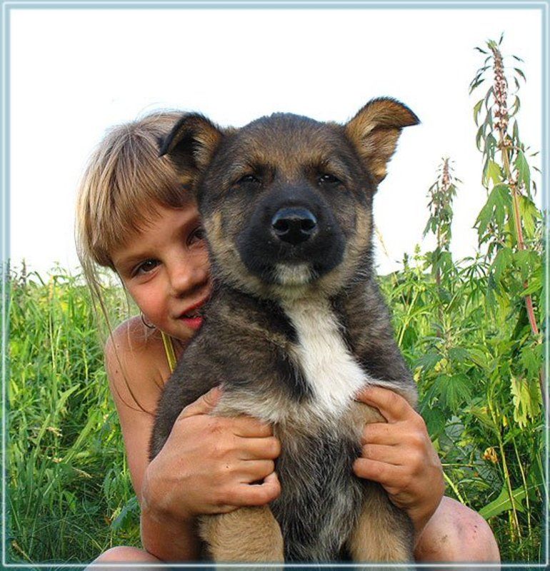дети, собака, радость мы с тобой одной крови ....photo preview