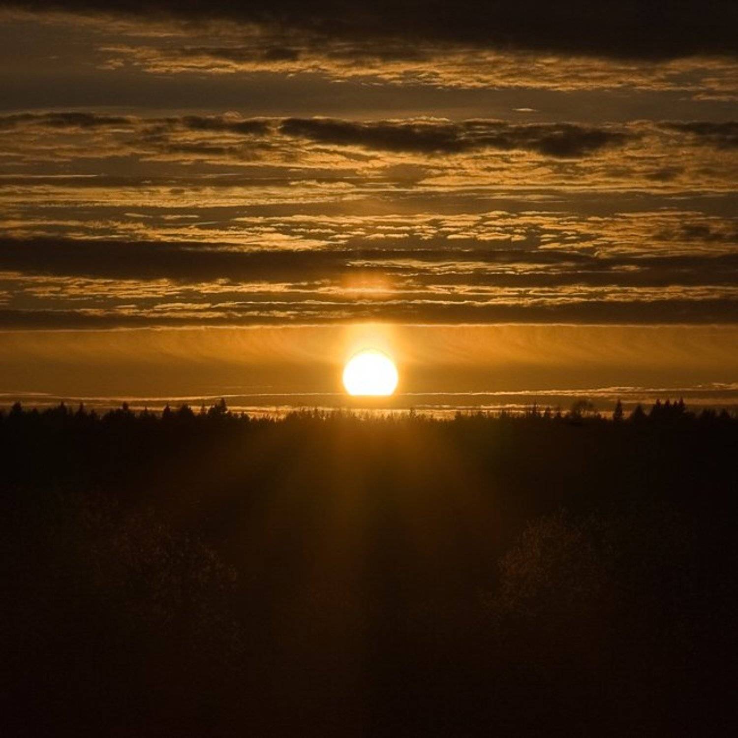 закат. Автор: Братаев Юра закат, старая ладога,, Братаев Юра