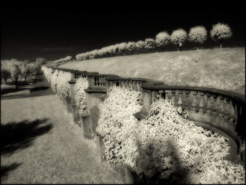 infared инфракрасная ик ir инфракрасный Петергофъphoto preview