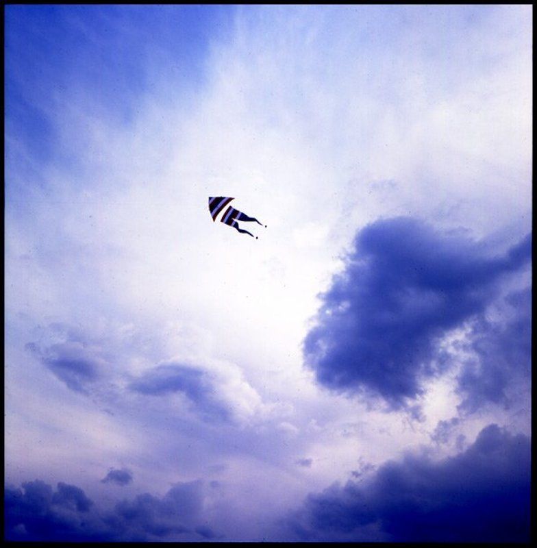 за полчаса до дождяphoto preview