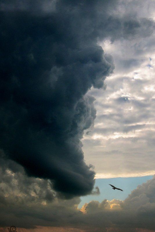 моя первая фотографияphoto preview