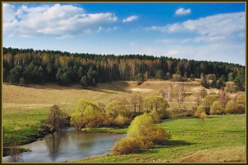 весна, речка, облака, лес на поляне у речкиphoto preview