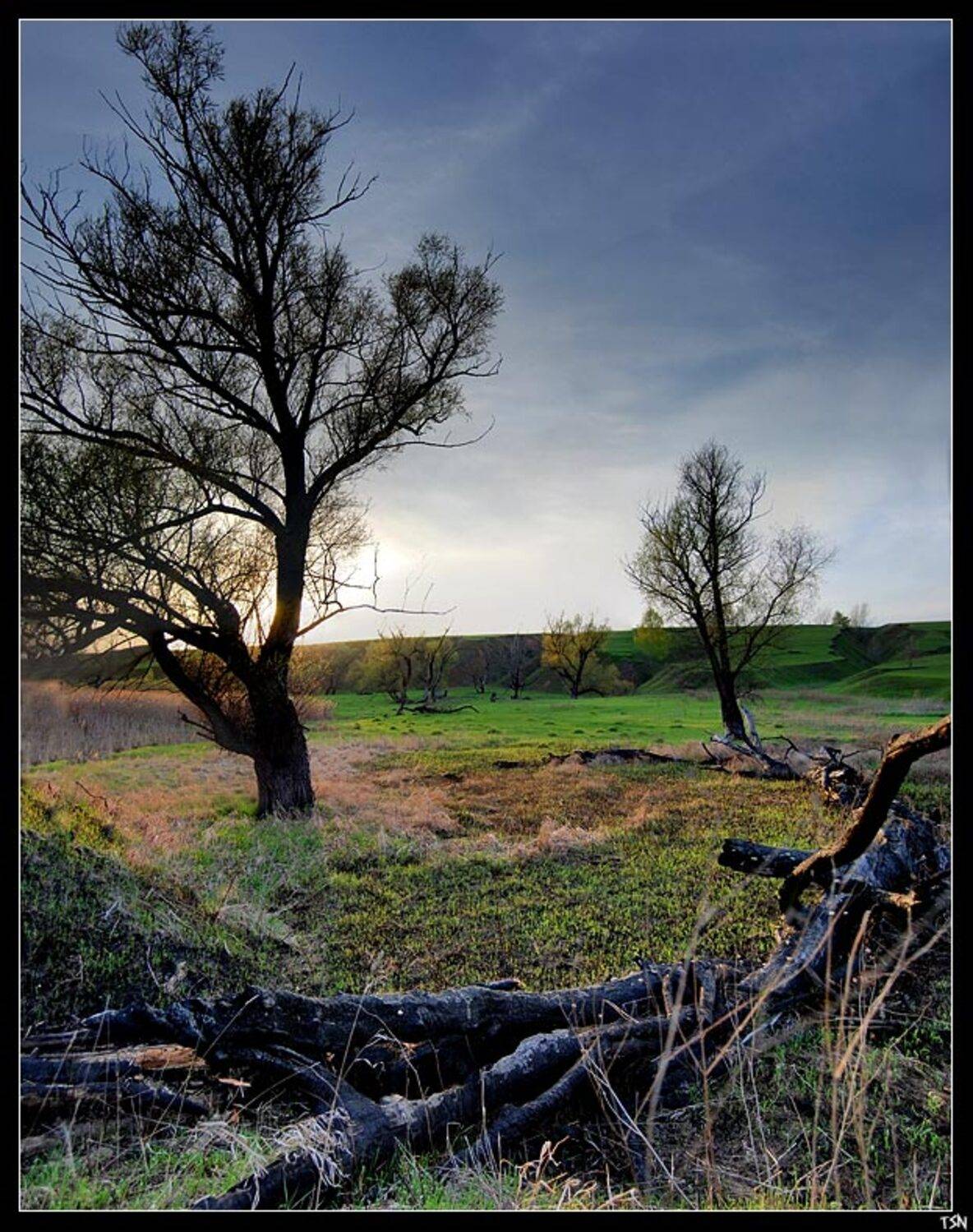 пейзаж, Сергей Требунских