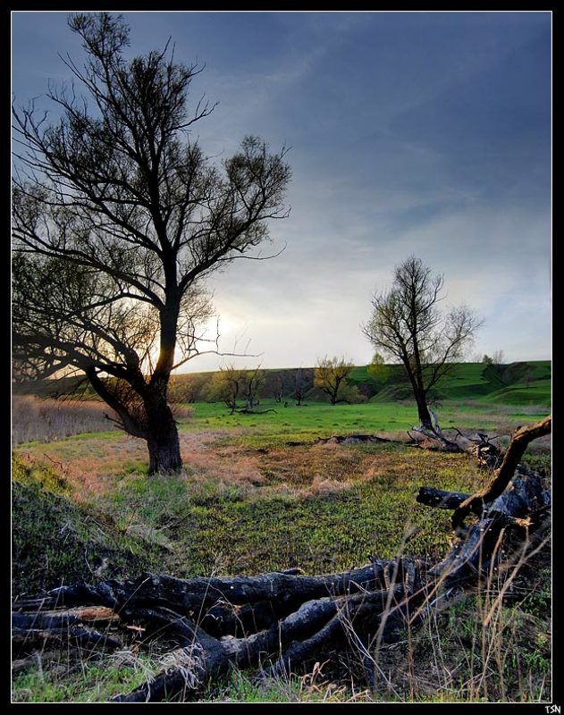 пейзаж Предзакатноеphoto preview