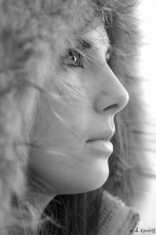 девушка, портрет, профиль профиль)photo preview