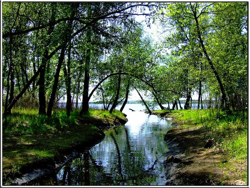 слияние стихий Загадки природыphoto preview