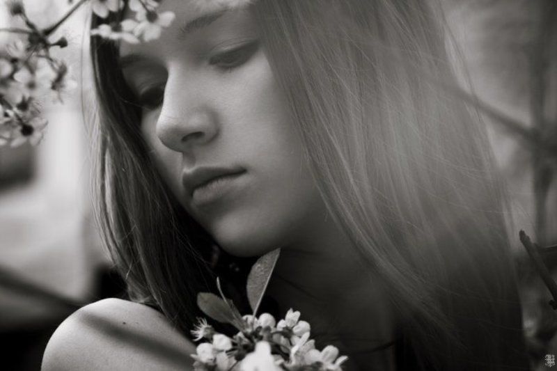 lucem, sakura, лена, весна, вишня sakuraphoto preview