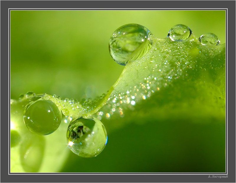 раннее утро, солнце проснувшись светит, счастья вам люди!, (хокку) =) Слёзы радости и светаphoto preview