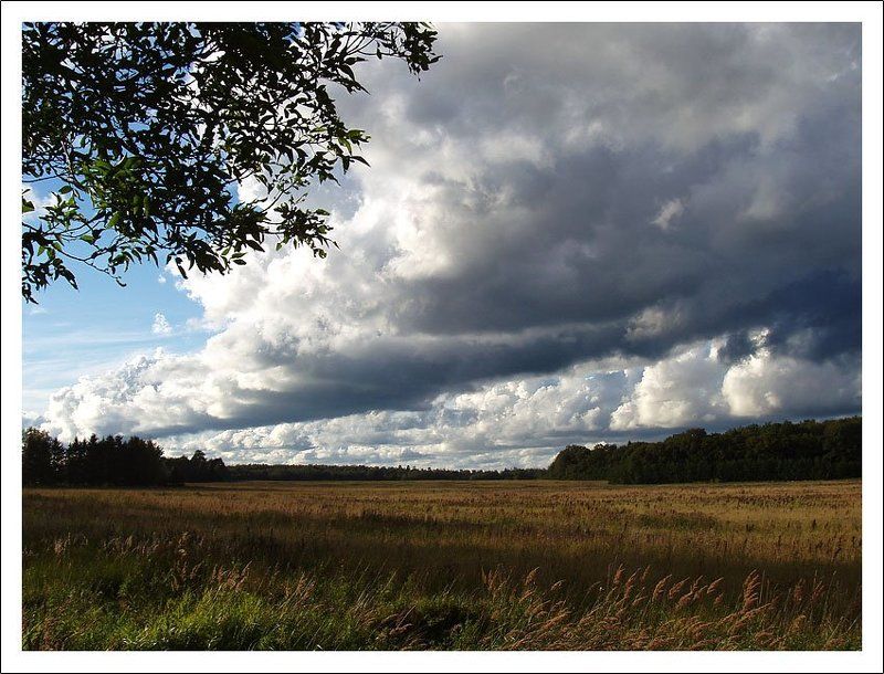 калининградская область, лето, солнце, тучи Контрастphoto preview