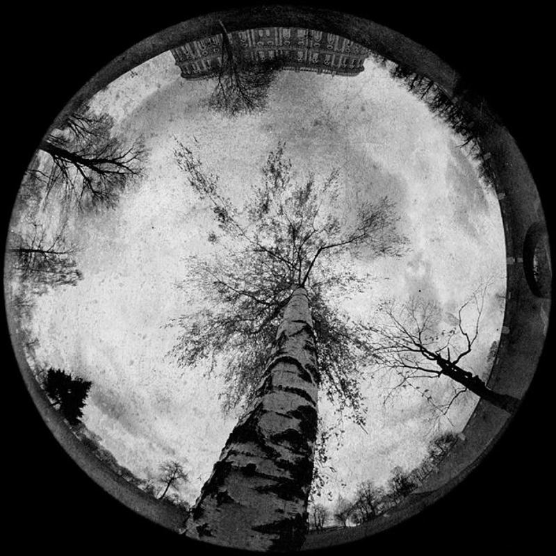 пеленг 8мм лунная. третьяphoto preview