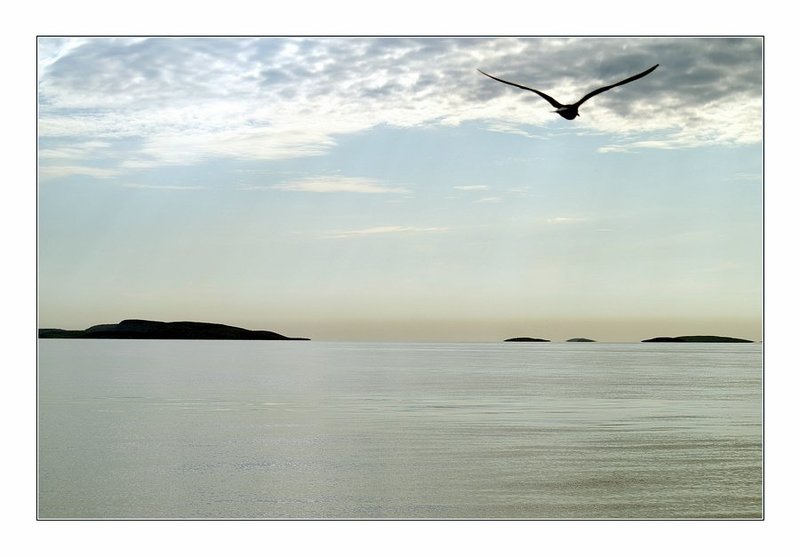 соловки Путь на Соловки...  #3photo preview