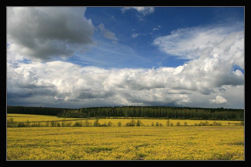 весна, поля, тучи лугаphoto preview