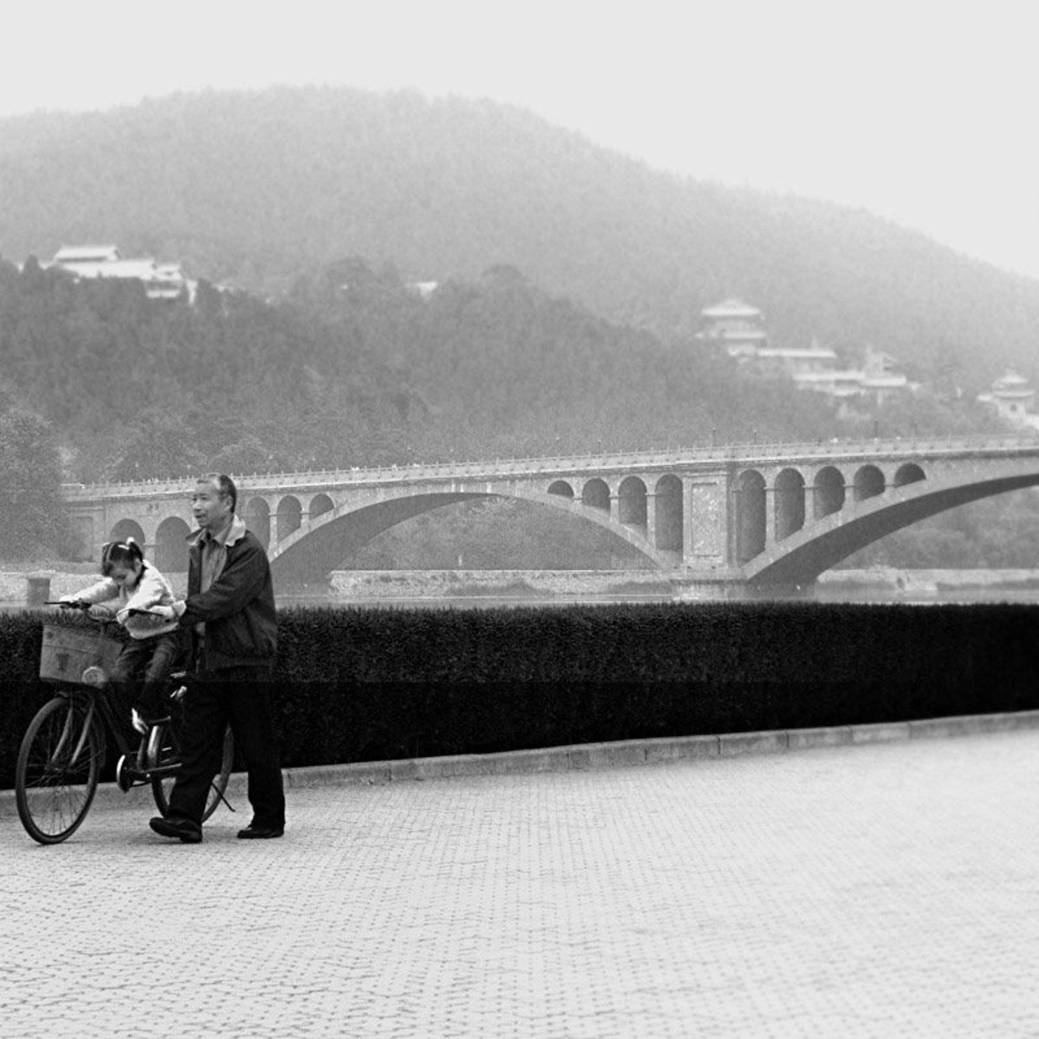 crypticaliens, китай, Crypticaliens