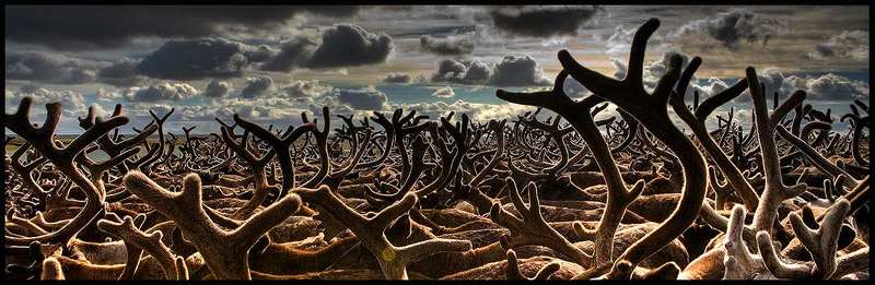 Про мореphoto preview