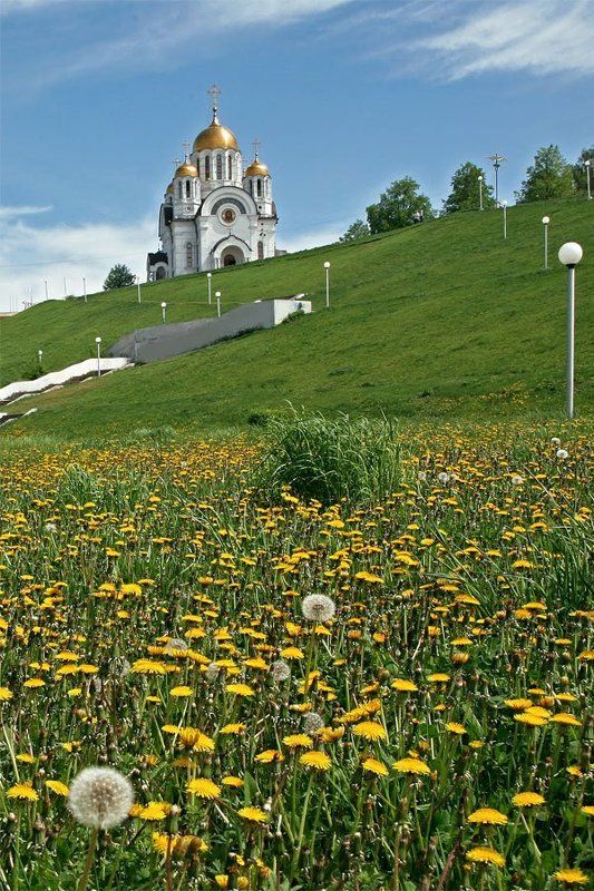 одуваныphoto preview