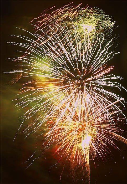 Букет. Автор: Vadim Balakin , Vadim Balakin